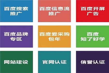 行业内的SEM竞价策略与效果对比案例